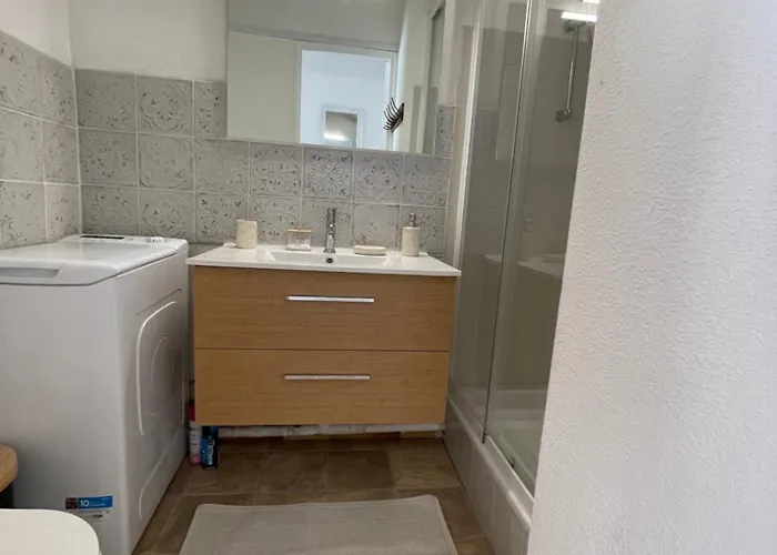 Pinede Piscine Clim Proche Village Naturiste * Agde